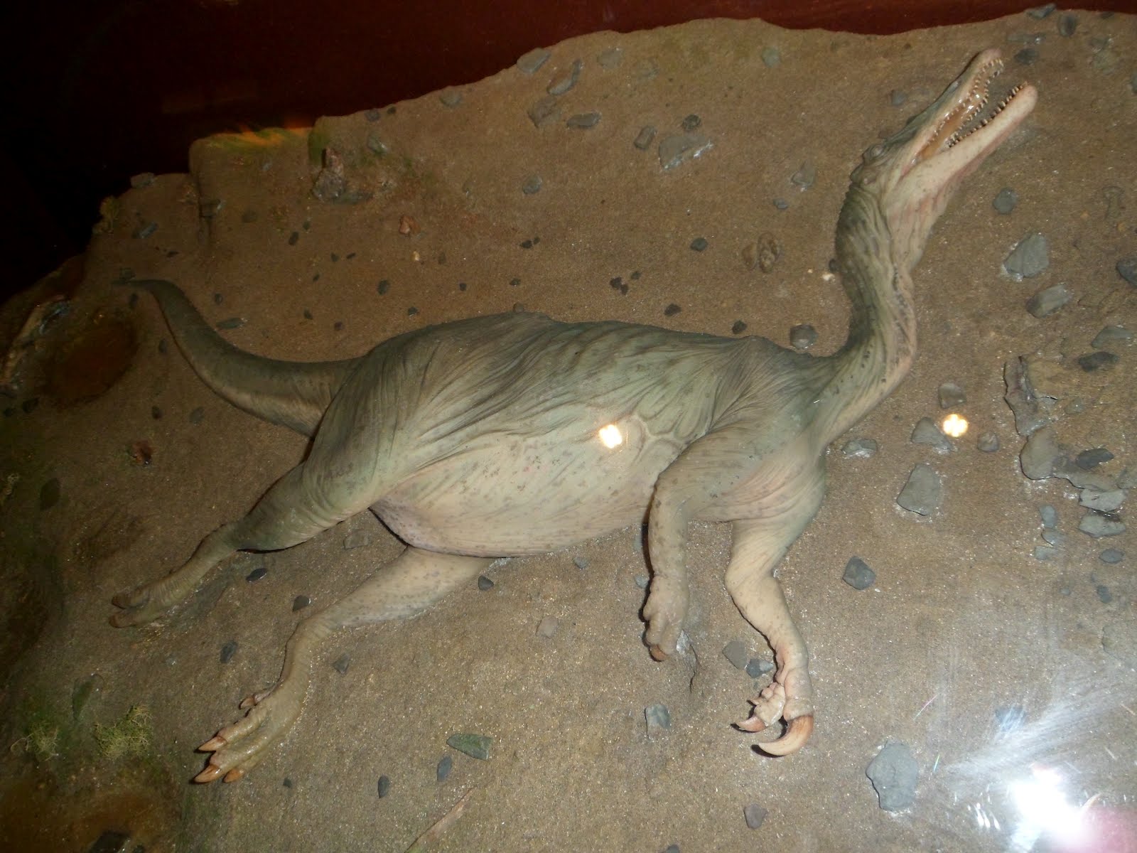 Joel kontinen What Does the Dinosaurs' Typical Death Position Tell Us?