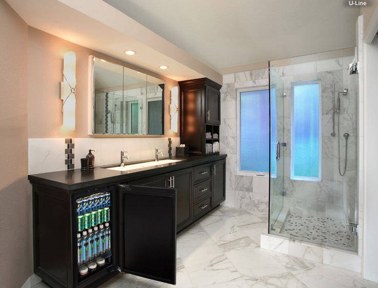 A New Fad Refrigerators in Bathrooms!? Traci Connell Interiors