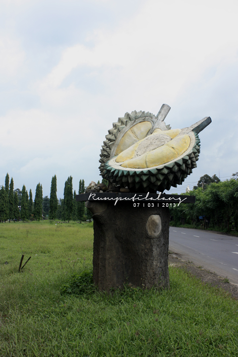 53 Gambar Tugu Durian Terlihat Keren