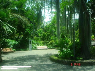 Jardín de aclimatación de La Orotava