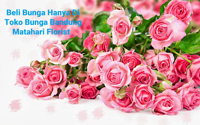 Beli Beragam Jenis Bunga Di Toko Bunga Bandung by Anas Blogging Tips
