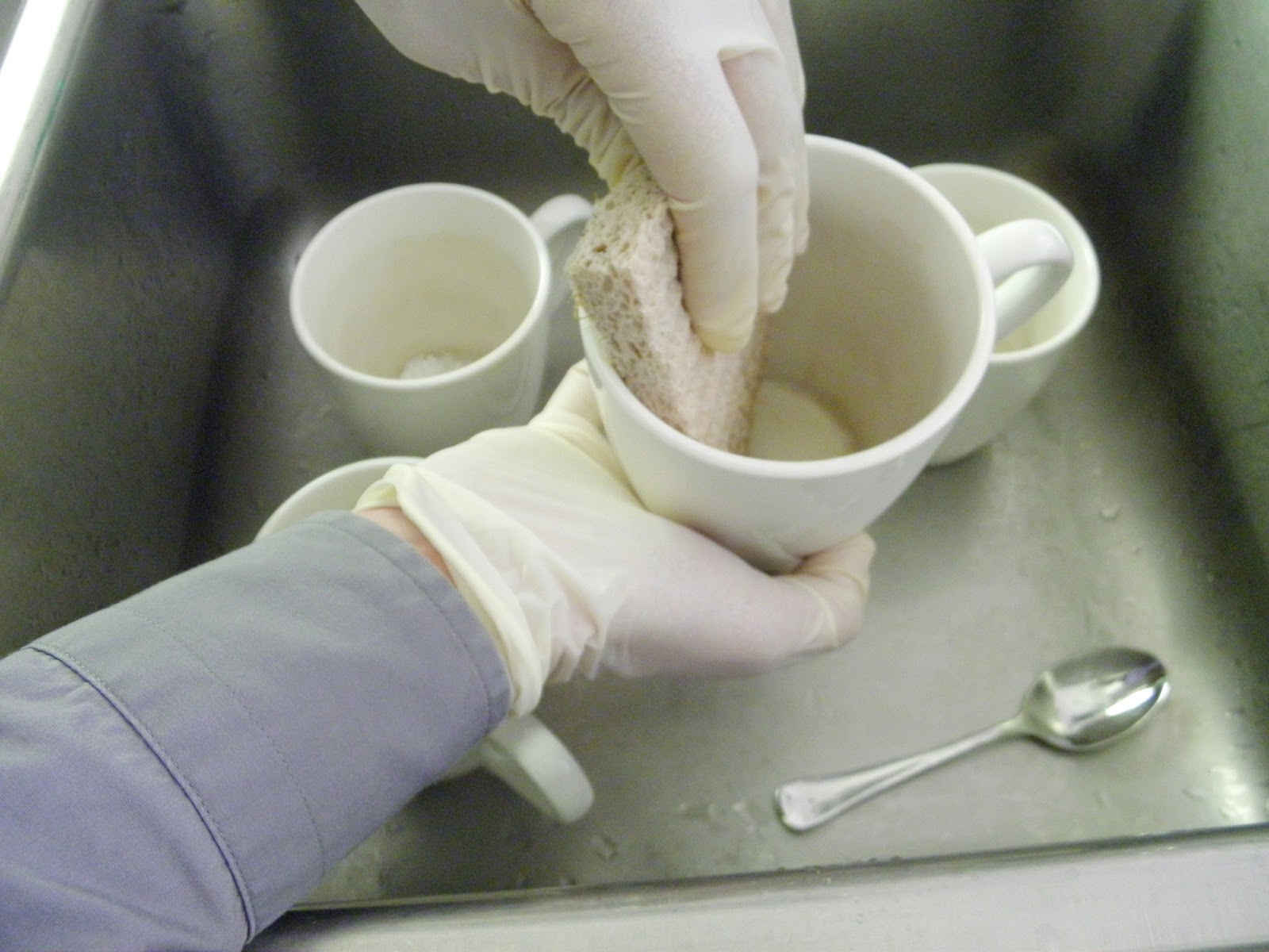 Cleaning Stained Cups