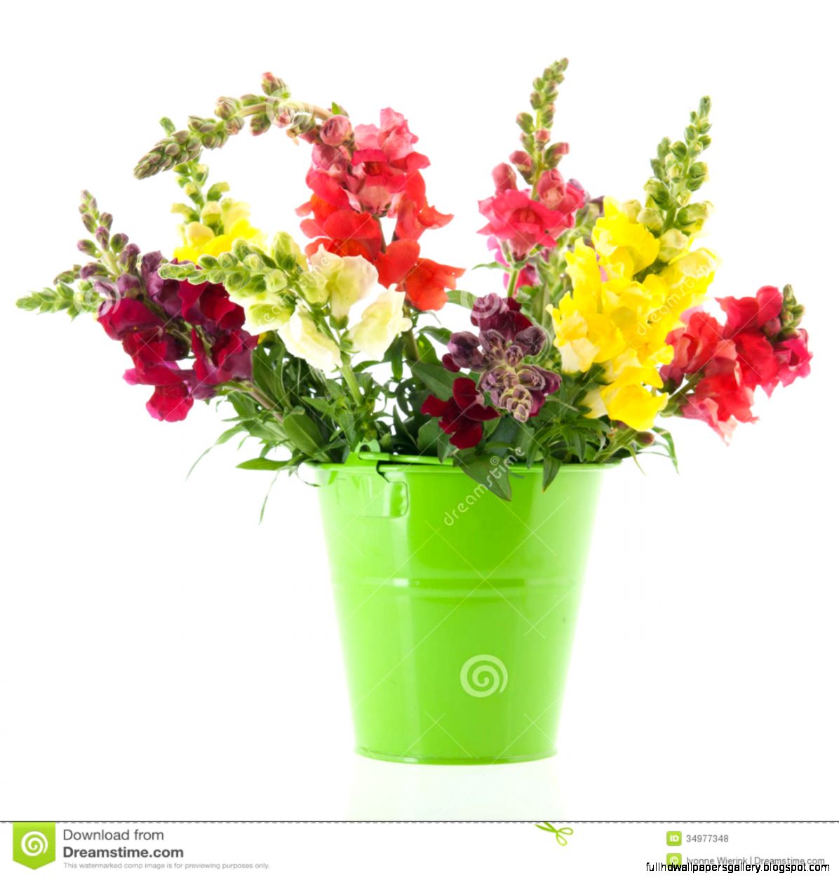 Vases with Purple Flowers