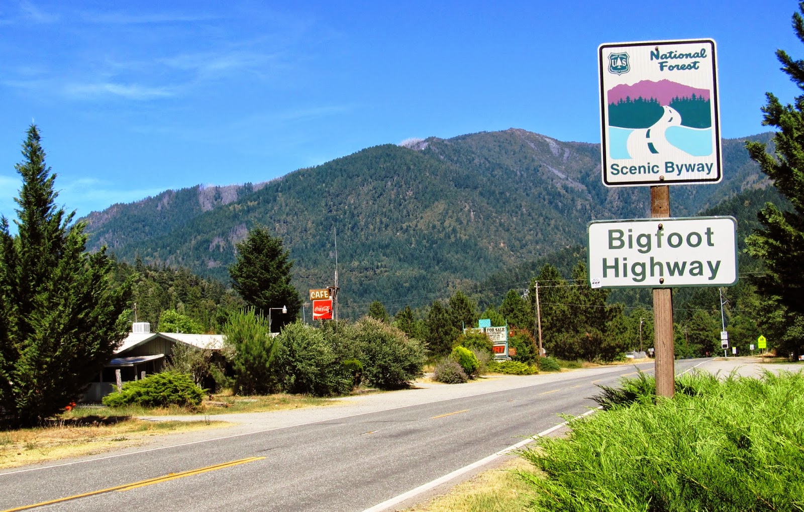 Bigfoot Songs June 2014