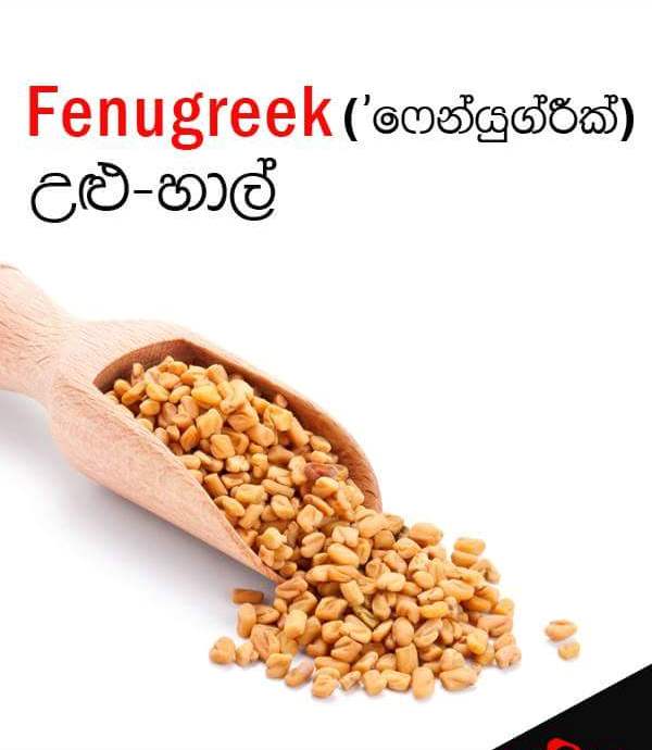 Sri Lankan spices names Sandy Foods Sri Lanka