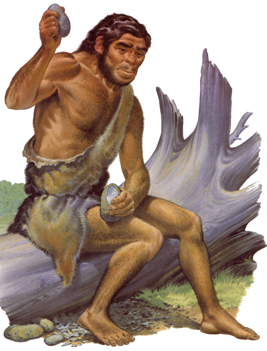 Risultato immagini per homo erectus