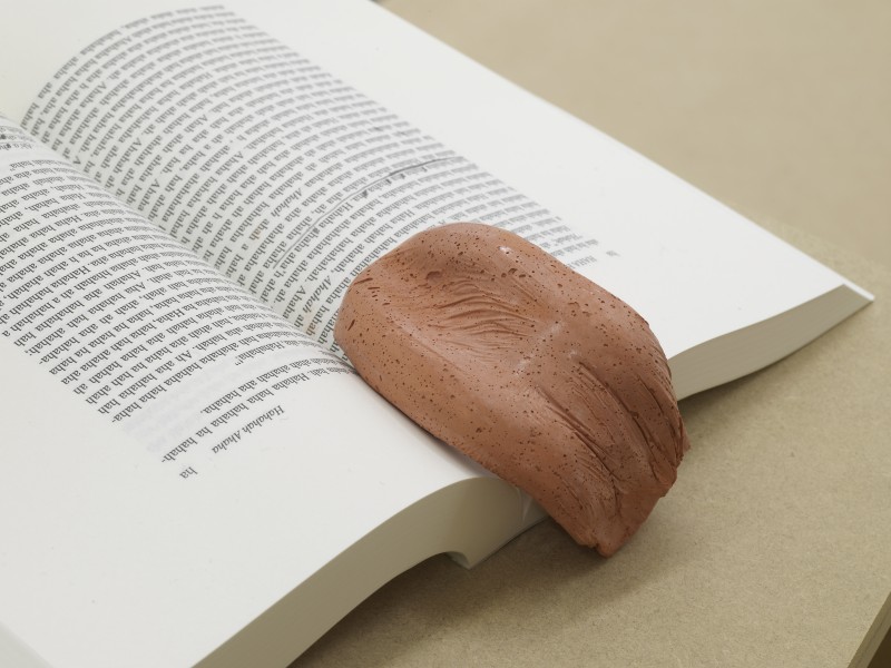 leaflet fluttertongue