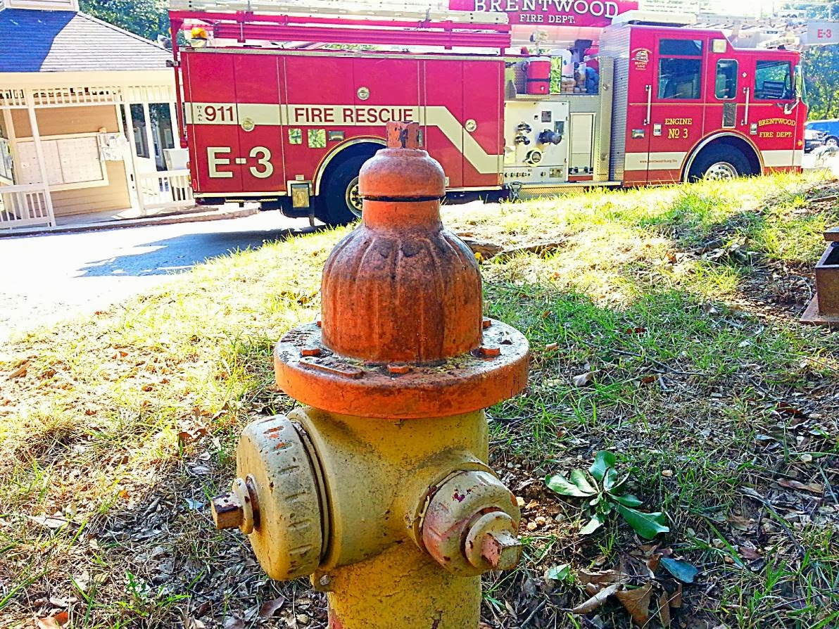 Brentwood Fire and Rescue Station Life Fire Hydrants
