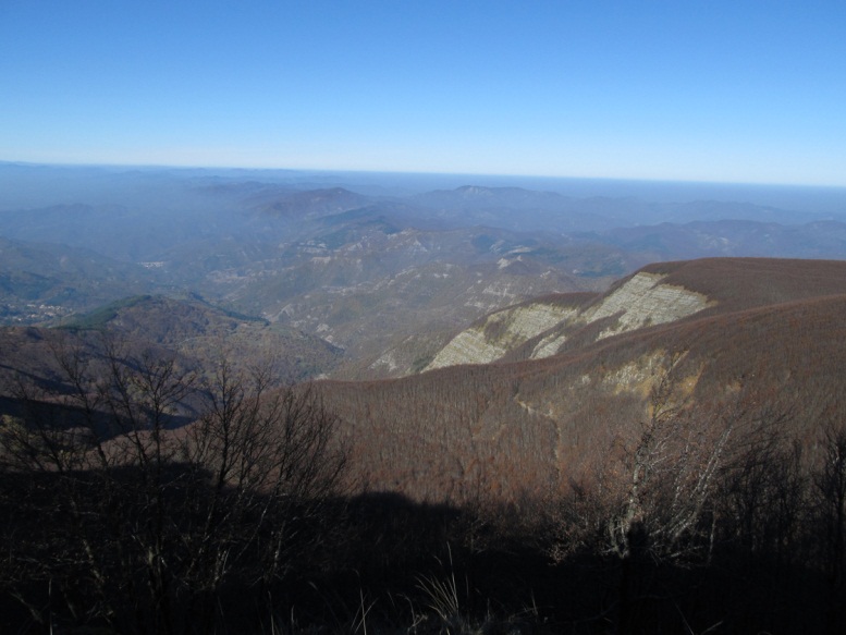 Escursionismo a 360° Monte Falco da Gaviserri (ritorno da Capo d’Arno) EEE Escursionismo a 360° Monte Falco da Gaviserri (ritorno da Capo d’Arno) EEE