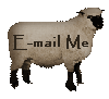 Welcome! Have questions...click the sheep