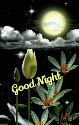 good night good night