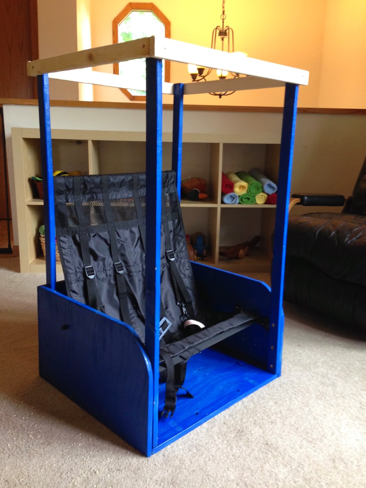 Apple Shoe Child Seat for an Adult Trike!