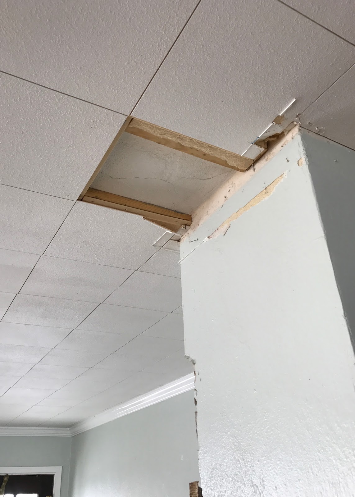 Farmhouse Ceiling Removing Tiles, How To Replace A 12×12 Ceiling Tile
