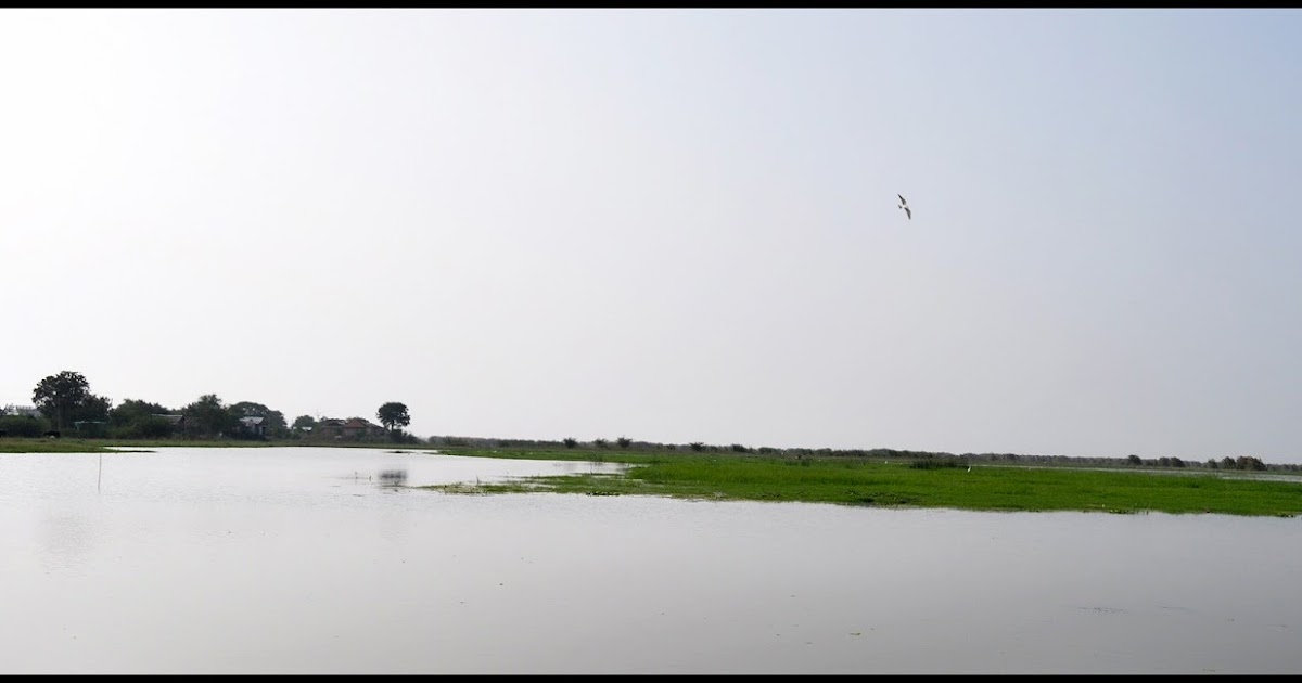 Kolleru Lake Bird Sanctuary,Andhra Pradesh,India Travel life journeys