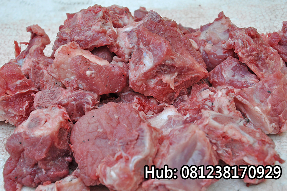 Distributor Iga Babi Supplier Pork Ribs