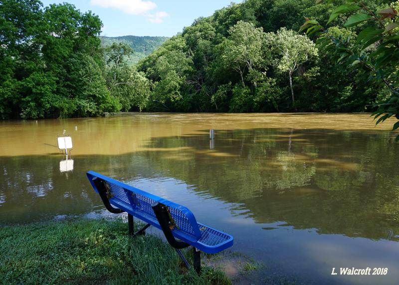 The View from Squirrel Ridge High Water at Strasburg Town Park