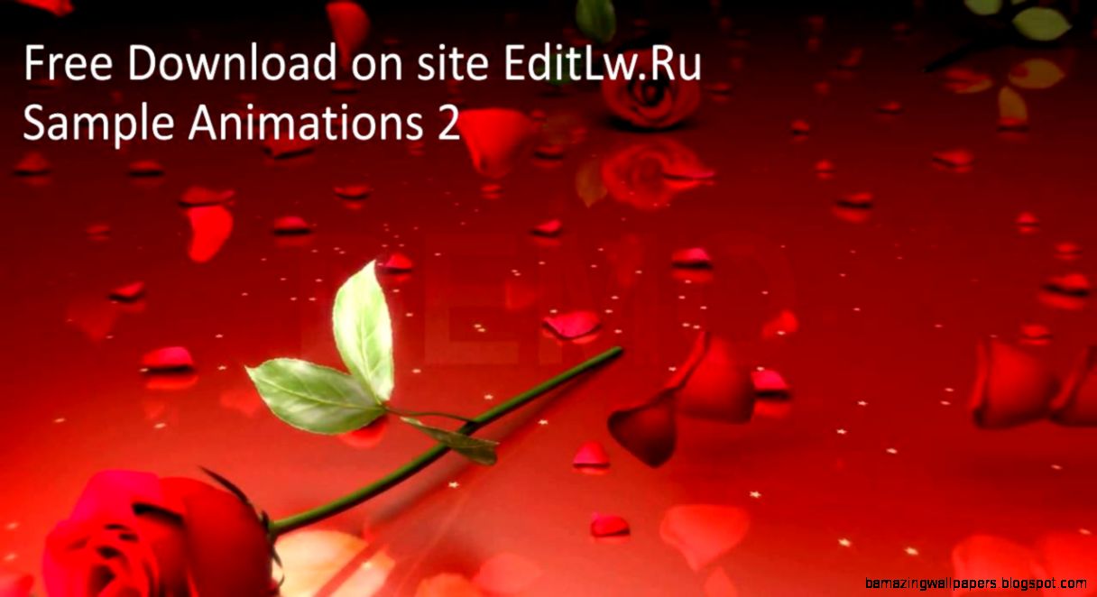 Animated Red Rose Amazing Wallpapers