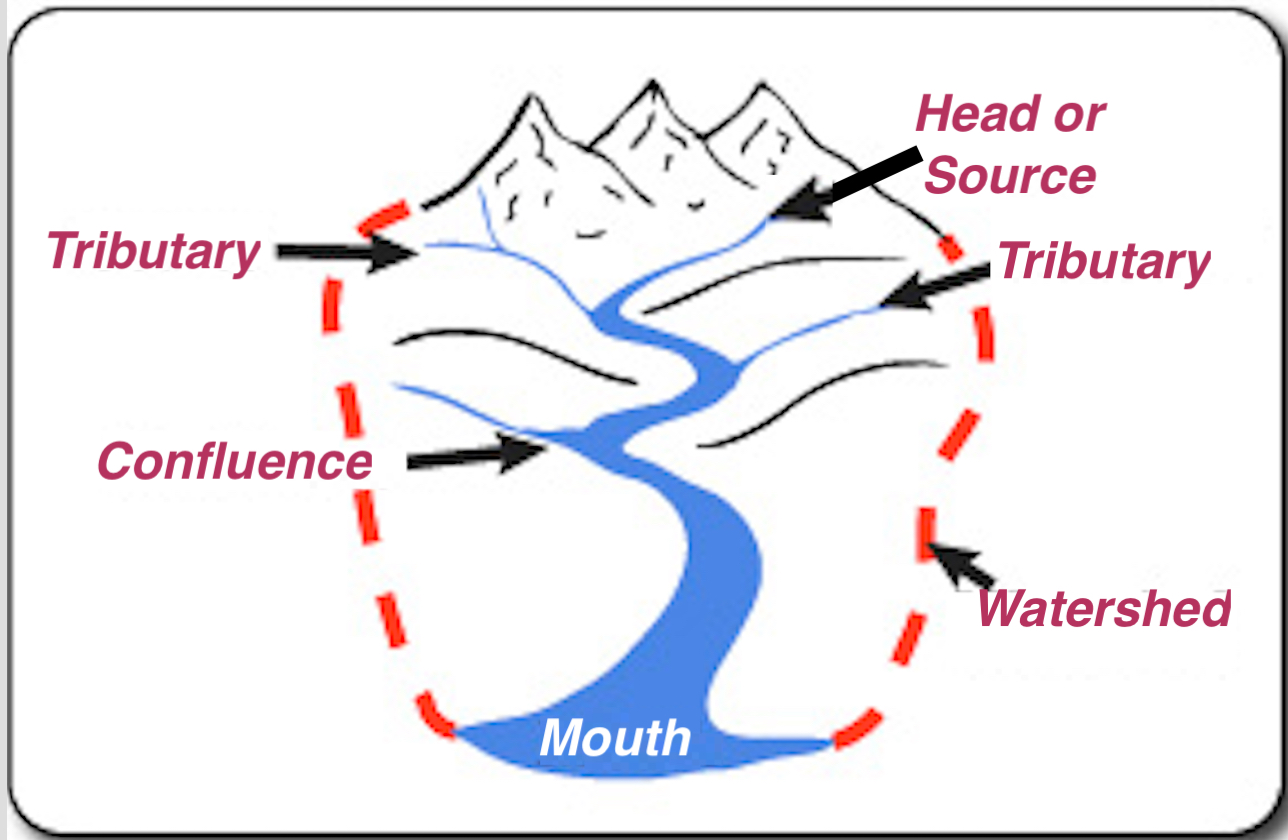 NephiCode Is There a Difference?