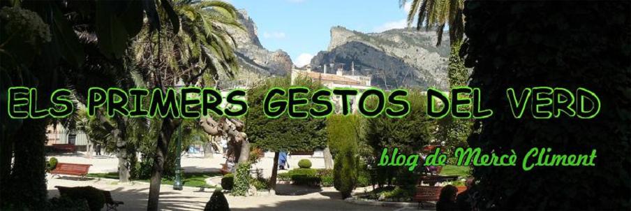 ELS PRIMERS GESTOS DEL VERD