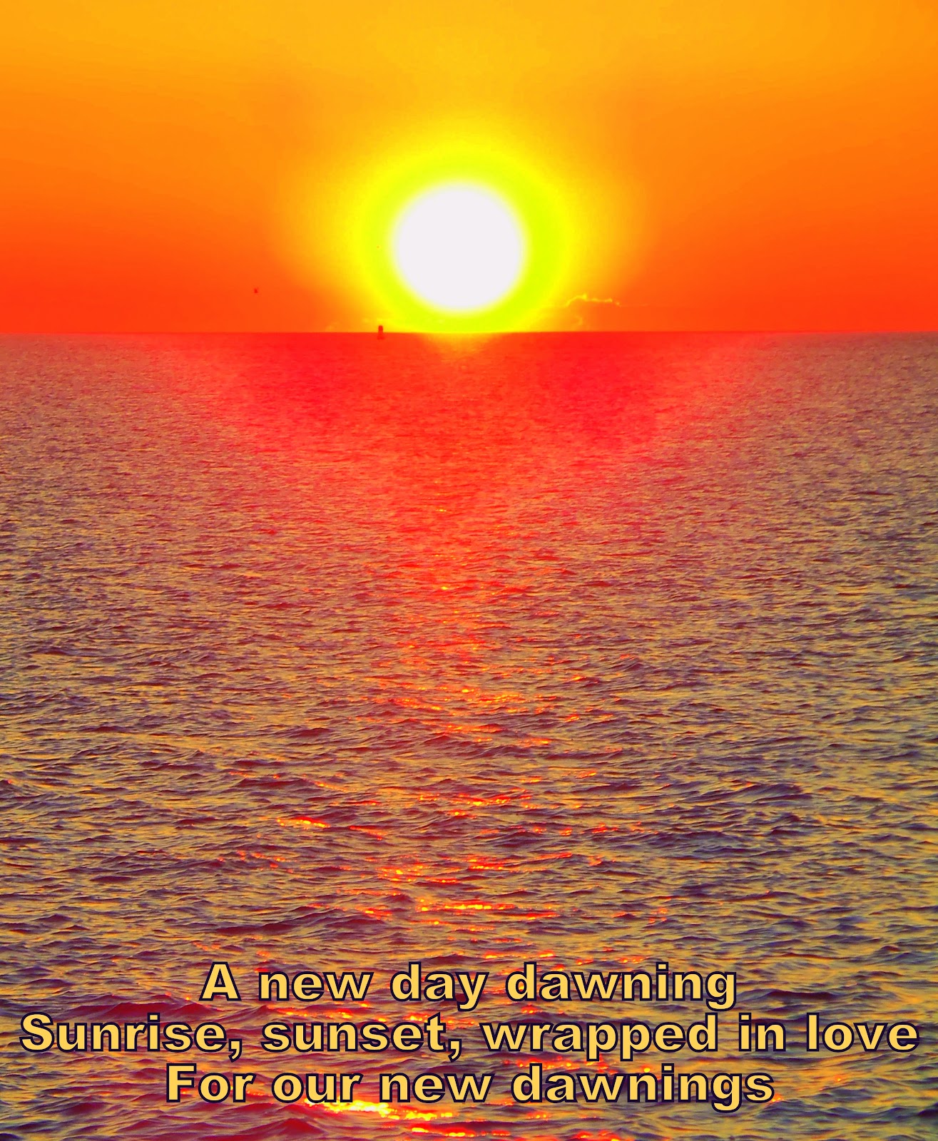 Haiku Creations A New Day Dawning