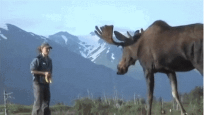 1%2B%25281%2529.gif