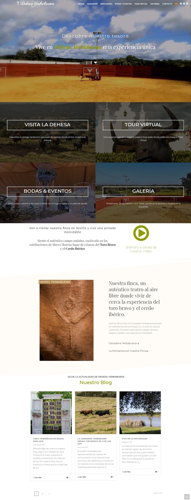 Diseño Web