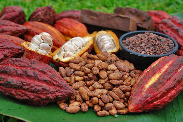 Împachetarea Cacao Ciocolata