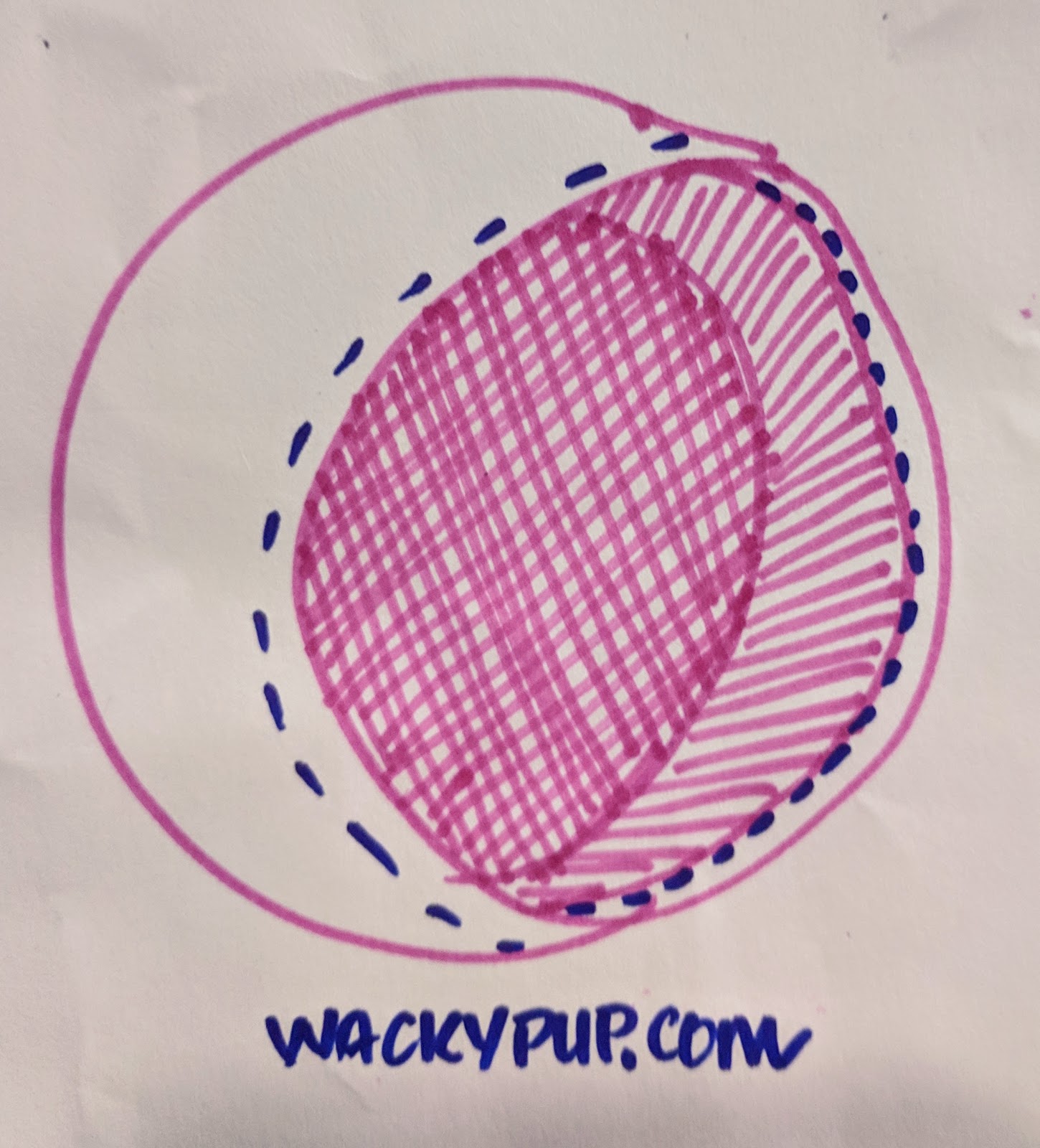 Wacky Pup How to Sew an RV / Trailer Spare Tire Cover for less than