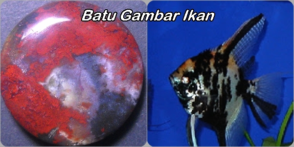 Lapak Batu Antik ( LBA ): BG151- SOLD- Batu Gambar Ikan Manfish