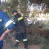 [Ελλάδα]Είχαν Άγιο - Με το που βγήκαν από το Ι.Χ, έπεσε το δένδρο πάνω στο αυτοκίνητο [photos]