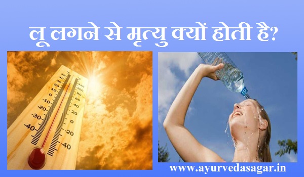 लू लगने से मृत्यु क्यों होती है? लू लगने से मृत्यु क्यों होती है?