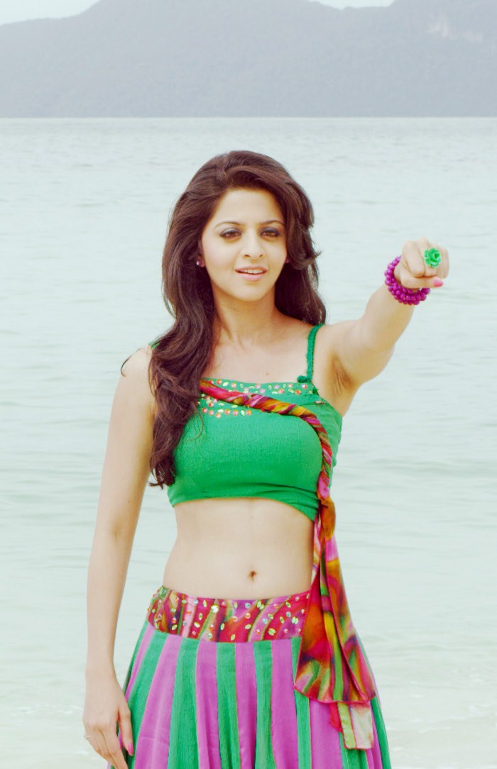 South Indian Actress Vedhika Hot Naval Images-Sexiest Photo Gallery