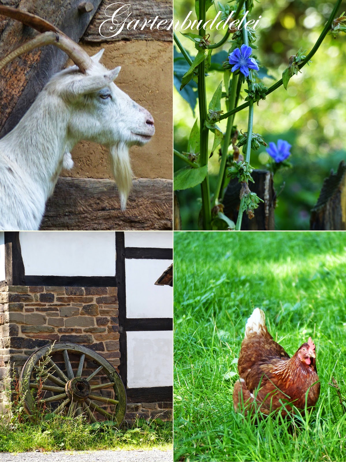 Eifel Gaste Journal Fruhjahr Sommer 2018 By Tourist Information