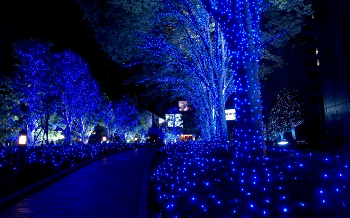 Beautiful Blue Christmas Lights