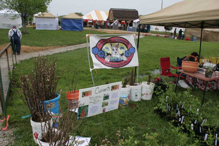 Jim Long's Garden Baker Creek Spring Garden Festival