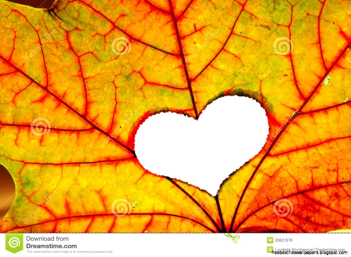 Autumn Leaf Heart Stock Photography   Image 27161192