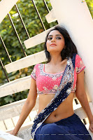 Actress Pooja Sree Saree Photos