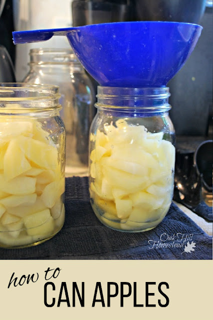 How to preserve apples using the water bath method of canning.