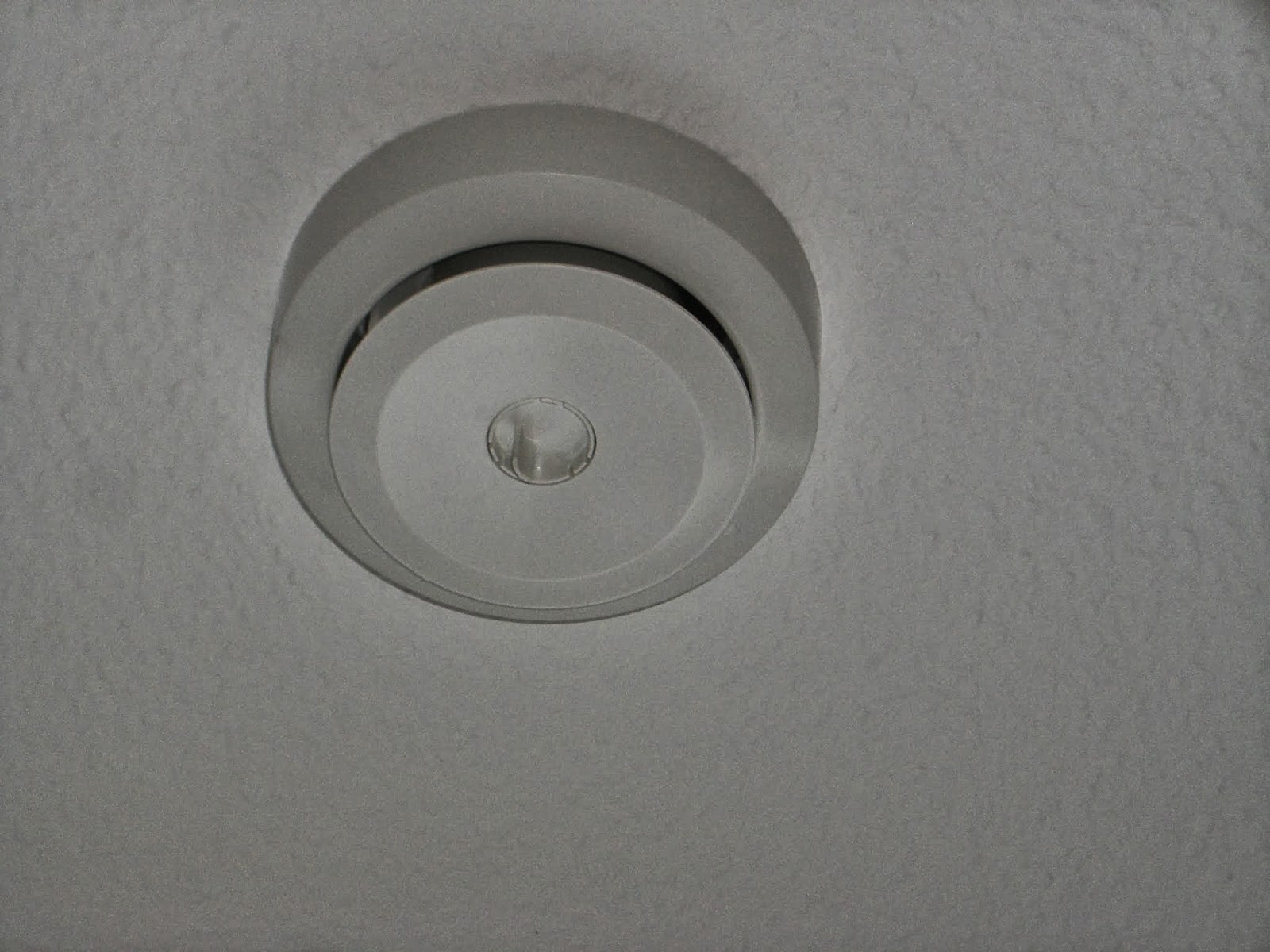 Baubericht Dachstrift: Oktober 2013