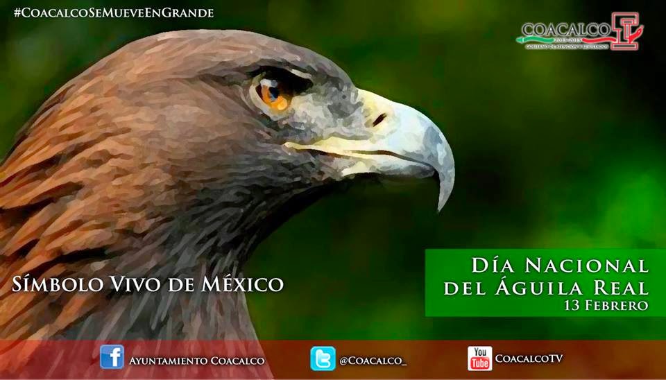 Coacalco.BlogOficial DÍA NACIONAL DEL ÁGUILA REAL Coacalco.BlogOficial DÍA NACIONAL DEL ÁGUILA REAL