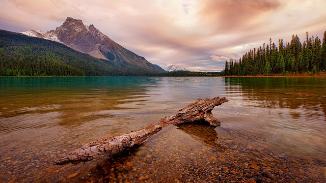emerald lake Montañas Rocosas de Canadá