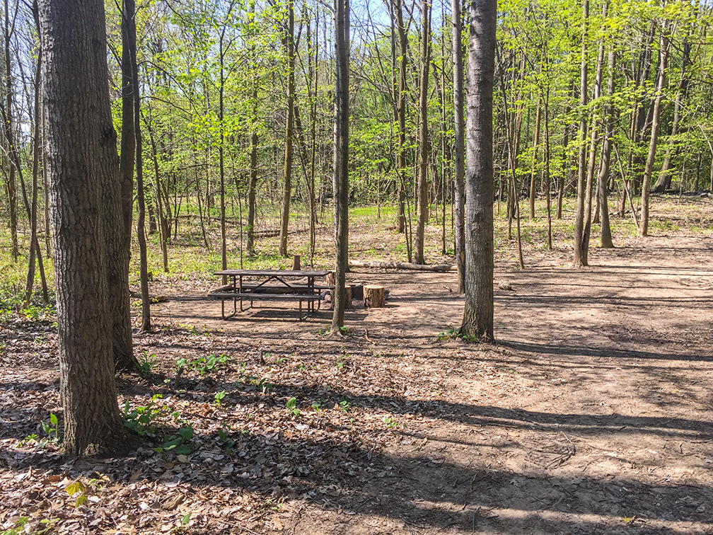 Hiking the Ice Age Trail Pike Lake Segment