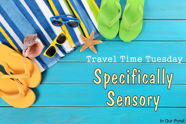DIY Sensory Toys  #travel  #autism  #sensory  #kids  #DIY