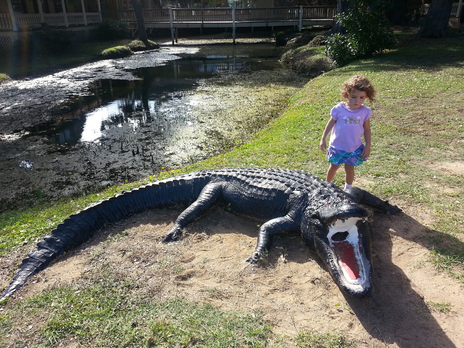 Jet Set Mom Murrells Inlet, South Carolina