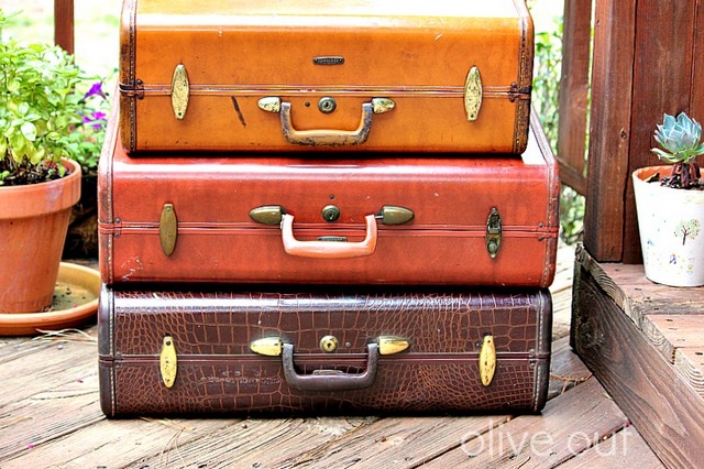 Olive Out: Vintage Leather Suitcases