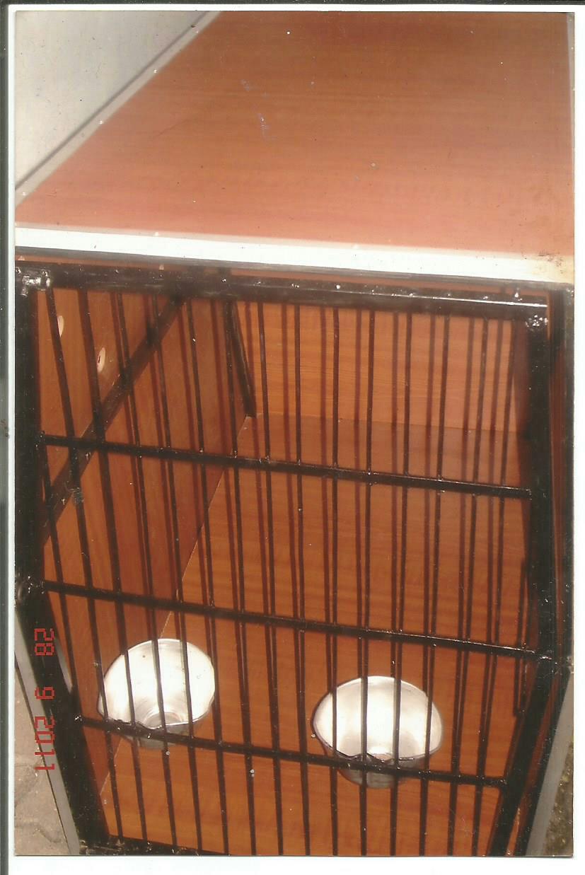 Pet Travels Sri Lanka