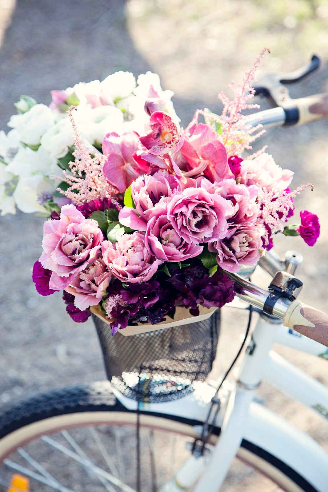 Urban Flower Our Flowers in Rouse Hill Regional Park Urban Flower Our Flowers in Rouse Hill Regional Park
