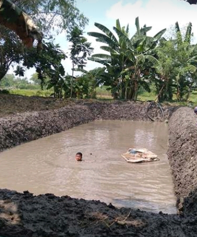 Mengatasi Banyaknya Ikan Yang Mati Pada Kolam Tanah Sontolozo Com