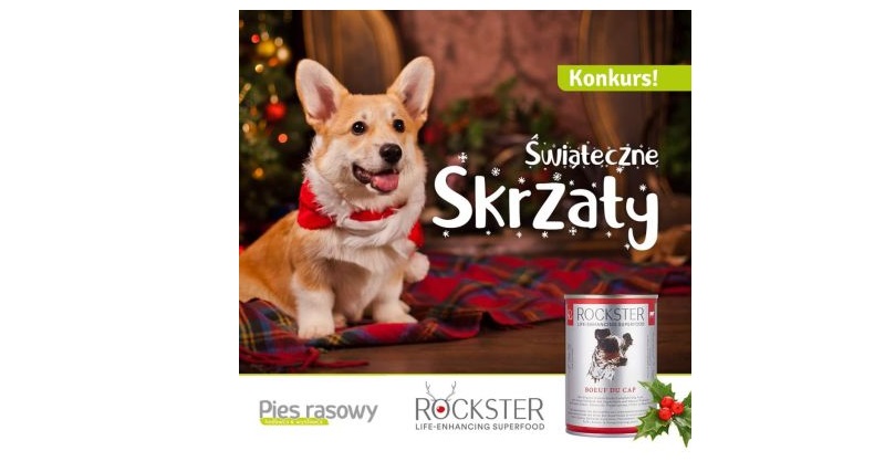 Wygraj zestaw karm organicznych Rockster Konkurs