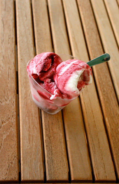 Receta de helado de yogur con frutos rojos